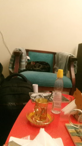 Comentarii opinii despre Tetería Cleopatra Chile