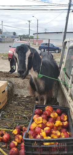 Comments and reviews of Parque Industrial