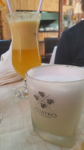 Reviews of Nazca Mistik in Peñalolén - Gastronomía y hostelería