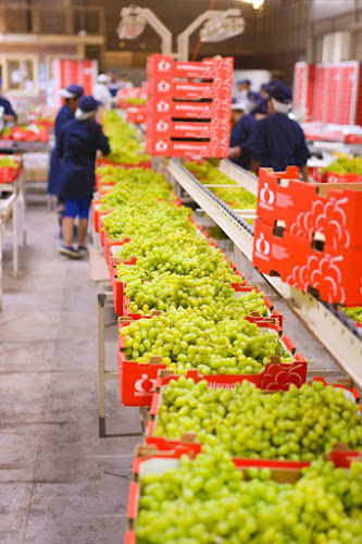 Opinii despre Agricola Tolentino în San Felipe - Gastronomía y hostelería