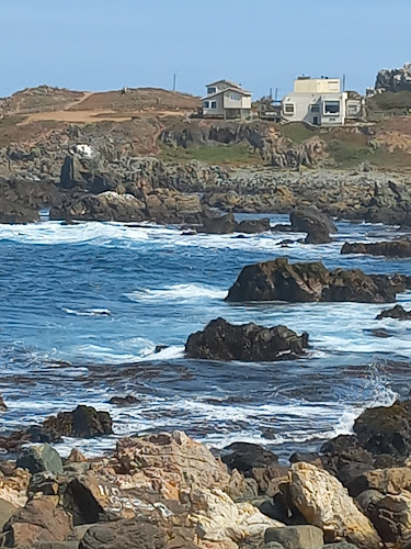 Comments and reviews of Paseo Costanera