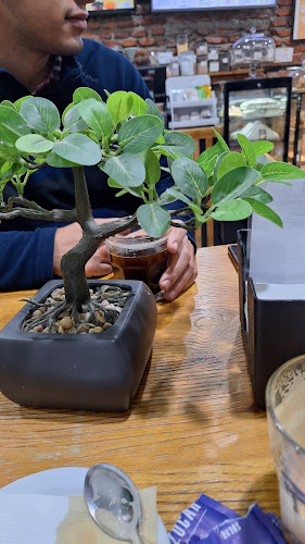 Reviews of Guana Coffee in Punta Arenas - Gastronomía y hostelería