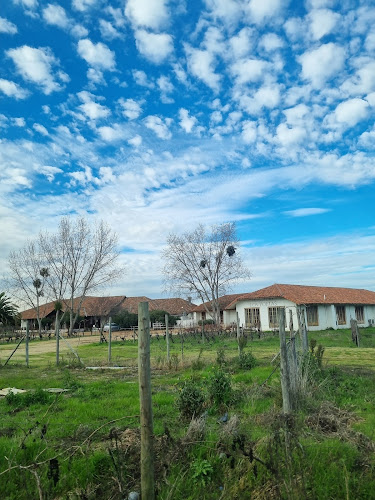 Restaurante Los Poetas - Santa Cruz