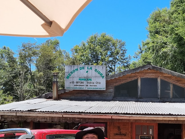 Sociedad Agropecuaria Punucapa S.A.