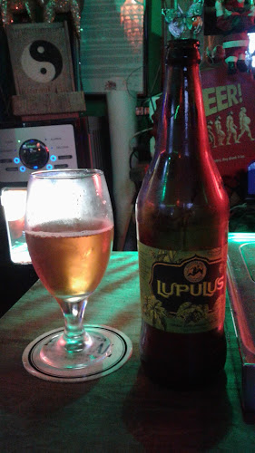 Lunaticos - Punta Arenas