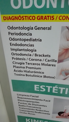 Quijote - Concepción