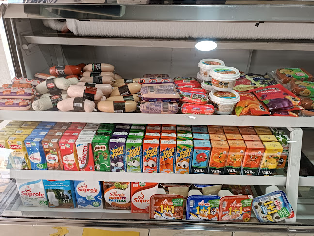 Av. Dorsal 629, 8431152 Recoleta, Región Metropolitana