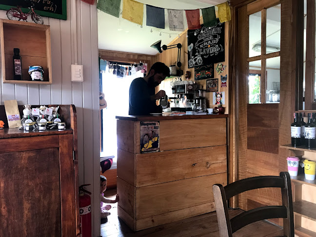 El Gato en Bicicleta - Lago Ranco