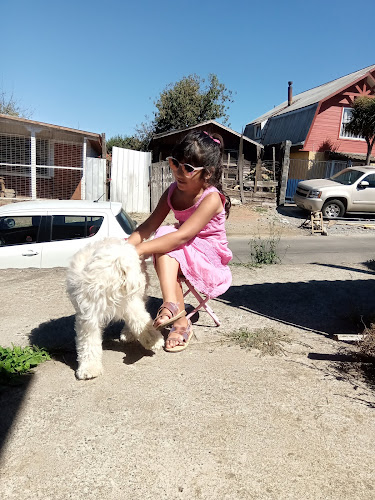 Opinii despre Casa De Mané. în Carahue - Gastronomía y hostelería