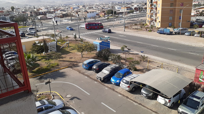 El sabor de la lela - Arica