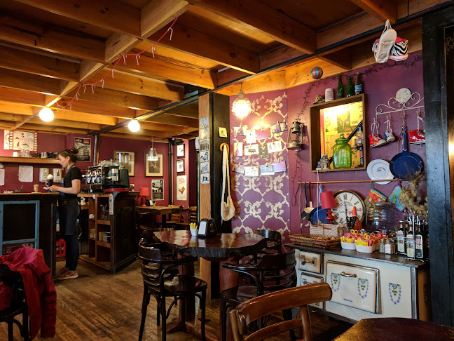 TAPIZ - Punta Arenas