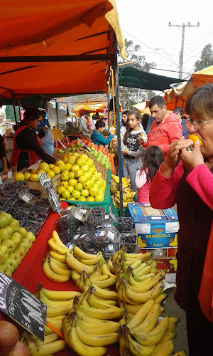 Comments and reviews of Feria de las Pulgas y Verduras