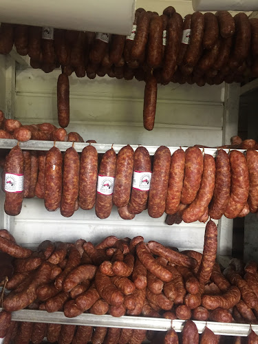 Ruta T 206 km, 8, 5230000 Paillaco, Los Ríos