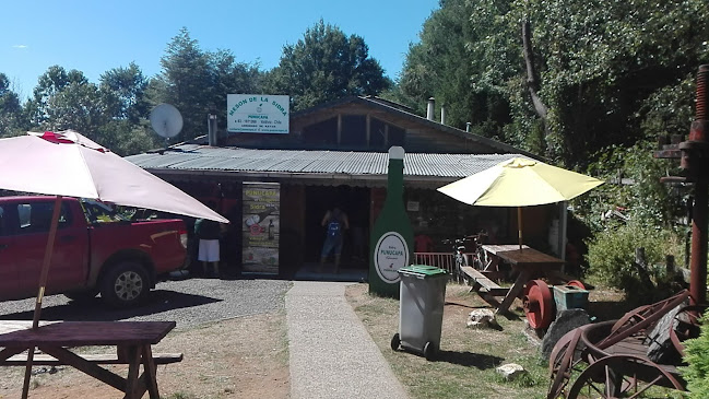 Sociedad Agropecuaria Punucapa S.A. - Punucapa