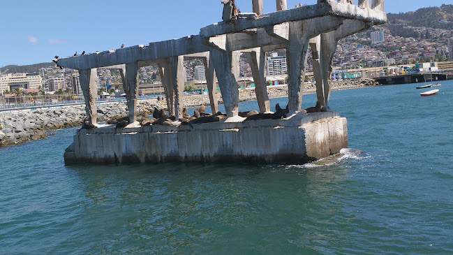 Hostal viña del mar - Viña del Mar