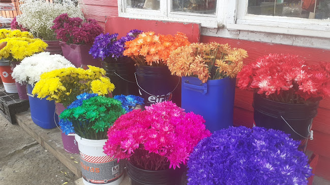 Floreria Anny - Gastronomía y hostelería