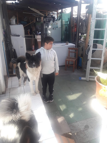 restaurante la casa blanca carvajal 0147 - Gastronomía y hostelería