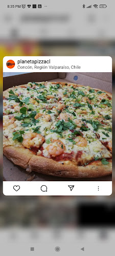 Opinii despre Planeta Pizza concon în Quilpué - Gastronomía y hostelería