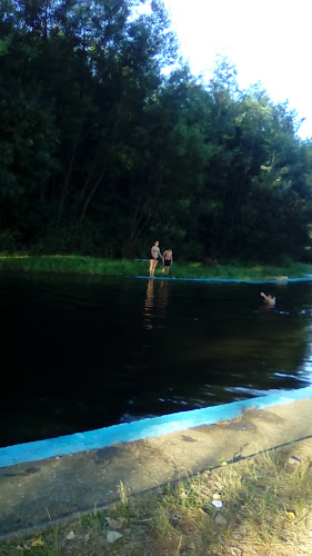 Brauerai Bühler (Cerveceria Bühler) - Gastronomía y hostelería