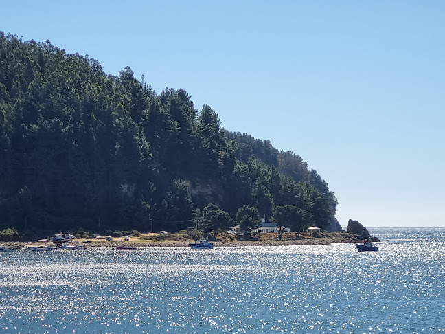 Restaurant Gracilaria - Gastronomía y hostelería