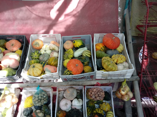 San Carlos, Vicuña, Coquimbo