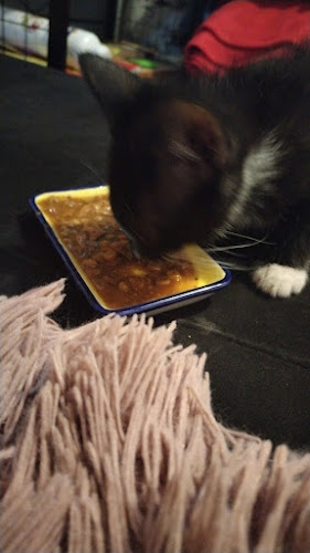 restaurante la casa blanca carvajal 0147