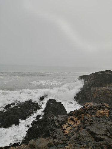 Comments and reviews of Cafetería Ruka Pulli