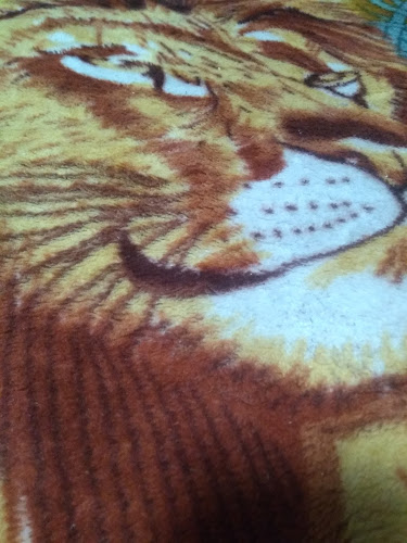 Cabañas Playa Sur - Gastronomía y hostelería