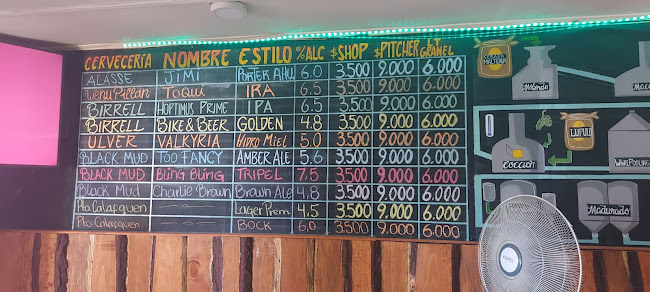 Chorrillanas Shop - Villarrica