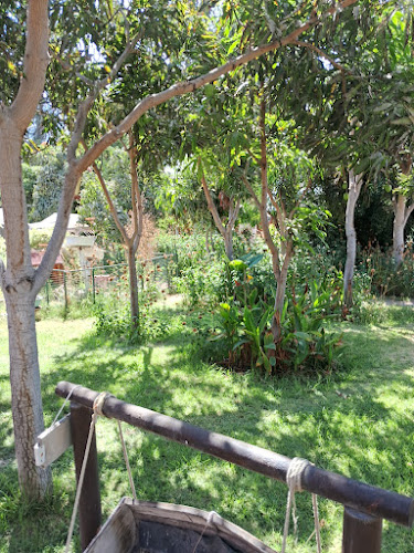 Comentarii opinii despre Entre Olivos