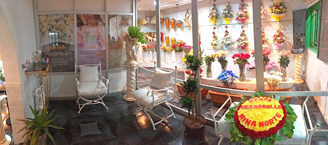 Florería Primavera Antofagasta - Gastronomía y hostelería