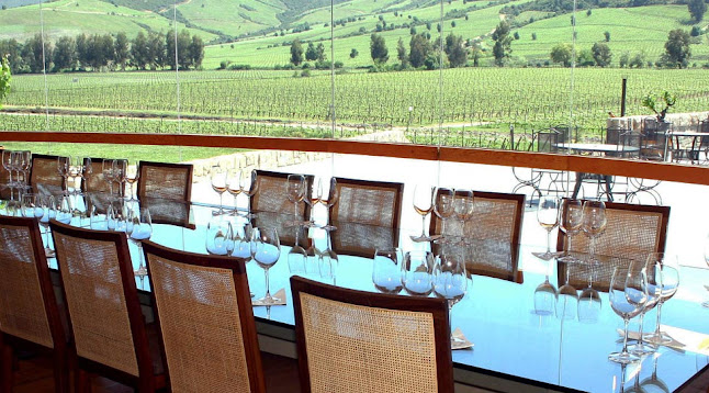 Comentarii opinii despre Viña Montes Alpha