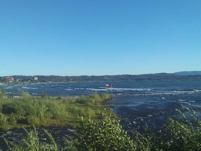 Pescadería donde Cachimbita Open Times