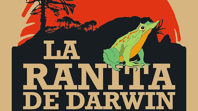 Opinii despre La Ranita de Darwin în Panguipulli - Gastronomía y hostelería