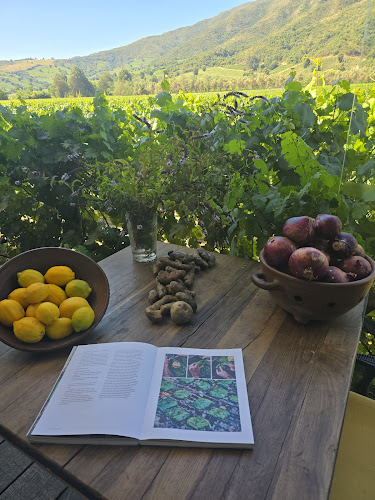 Fuegos de Apalta - Gastronomía y hostelería