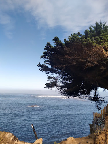 Opinii despre Restaurante "Como en Casa" în Quintero - Gastronomía y hostelería