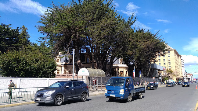 Seafood Patagonia - Gastronomía y hostelería