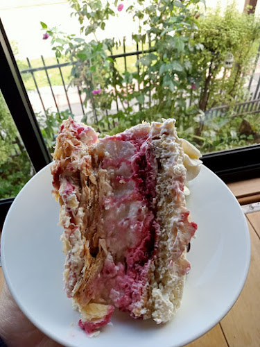 Comments and reviews of El Gato en Bicicleta