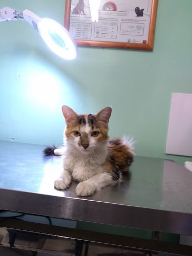 FRITIKOS GOURMET - Gastronomía y hostelería