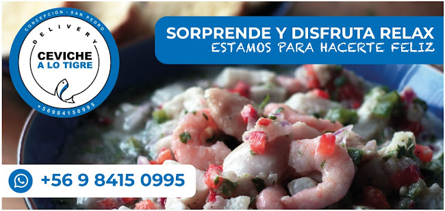 Los Cerezos 21, 4130000 San Pedro de la Paz, Bío Bío