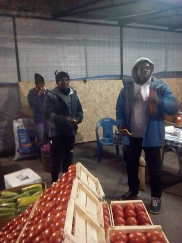 Parque Industrial Open Times