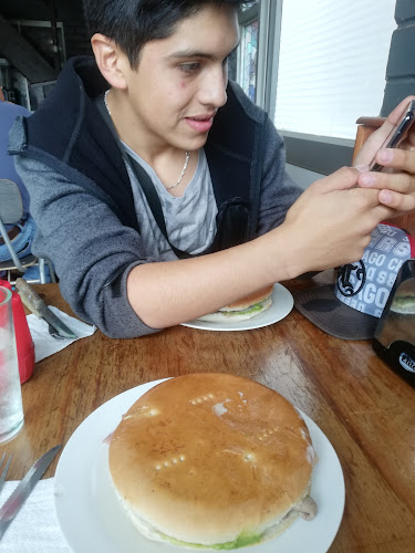 Fresia 01137, 4780564 Temuco, Araucanía