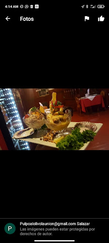 Restaurant Peruano Pulpo Al Olivo - Gastronomía y hostelería