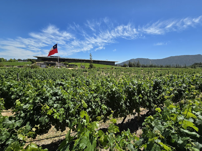 I-350, 3130000 Santa Cruz, O'Higgins