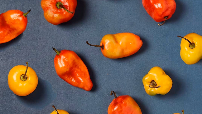 La Casona Peruana - San Vicente de Tagua Tagua