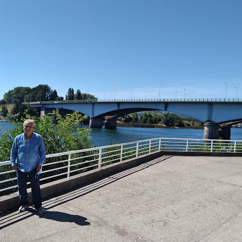 Comentarii opinii despre Pollos Declavero