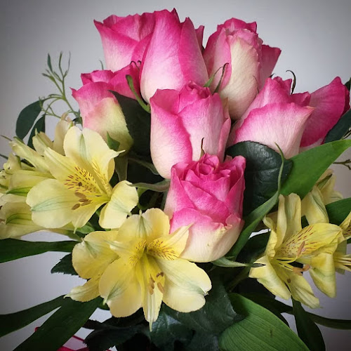 Comentarii opinii despre Distribuidora Valleflor