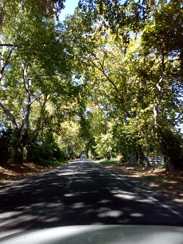 Centro de Eventos La Trilla Open Times