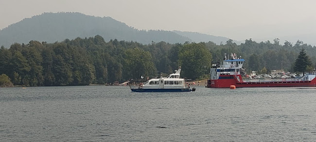 Comentarii opinii despre Vixe Pollo