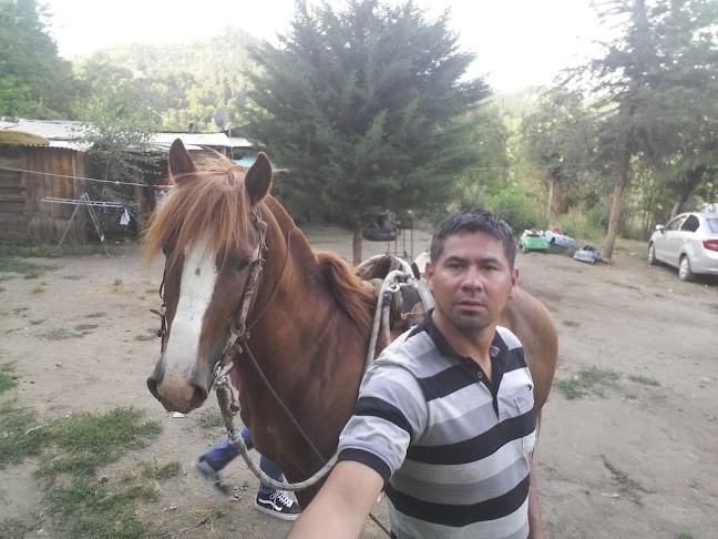 Comentarii opinii despre Potrero Grande, Parada Manuel Rodríguez. Restaurante El Deportista